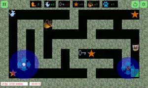 The Squirrels Maze 2D